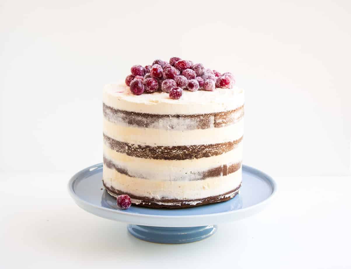 Soft Gingerbread Cake with Sparkling Cranberries