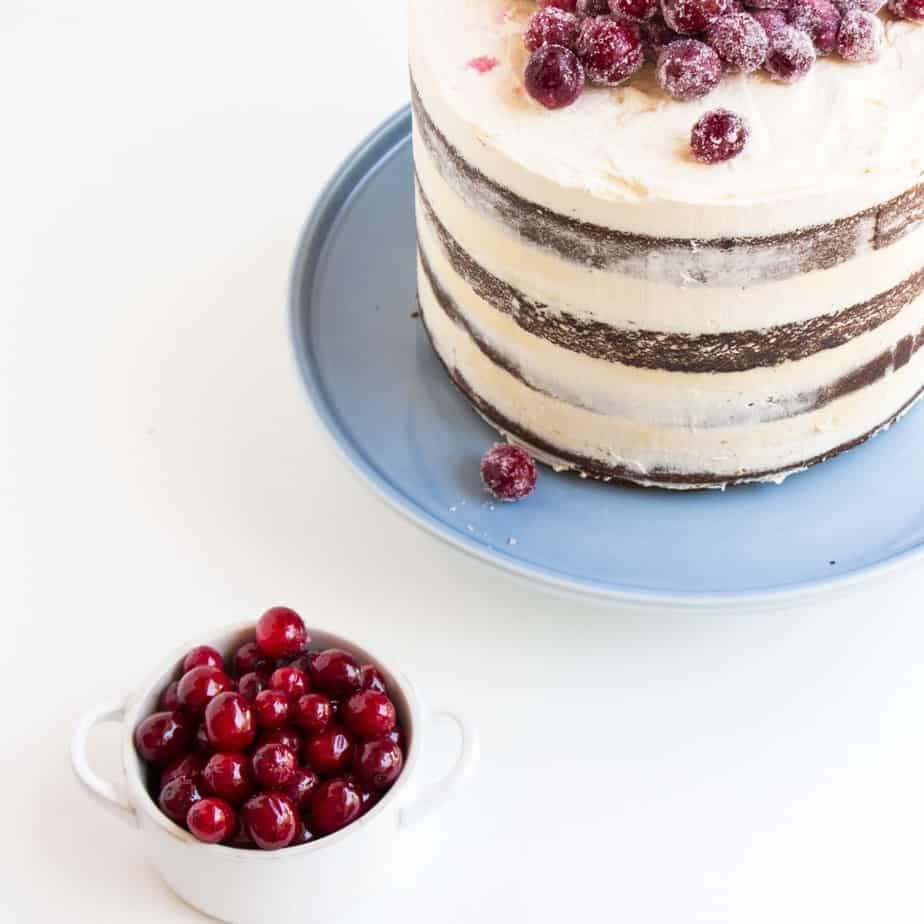 Soft Gingerbread Cake with Sparkling Cranberries
