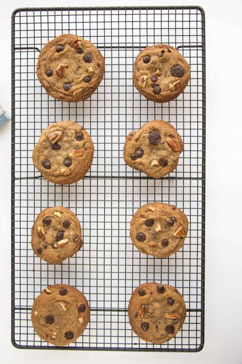 Delicious Chewy Choc-Chip & Pecan Cookies