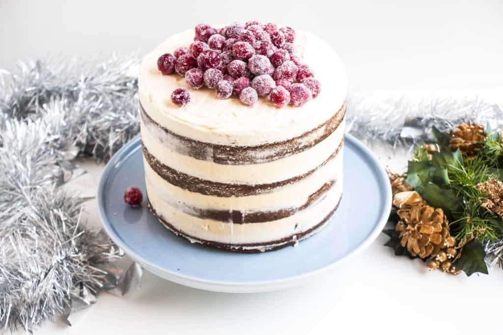Soft Gingerbread Cake with Sparkling Cranberries