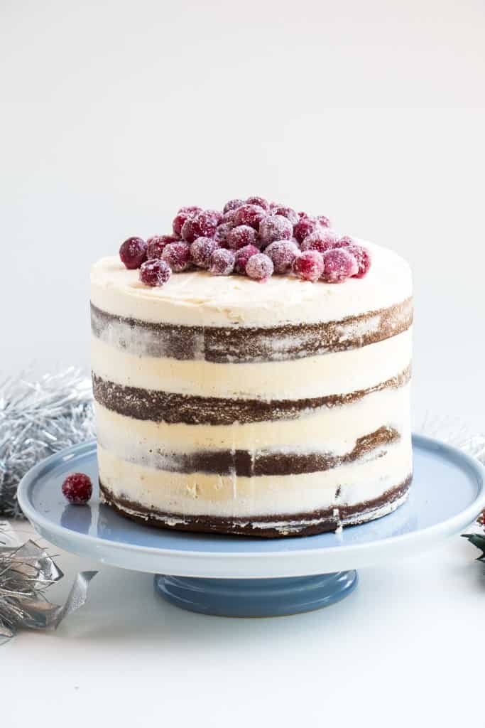 Soft Gingerbread Cake with Sparkling Cranberries