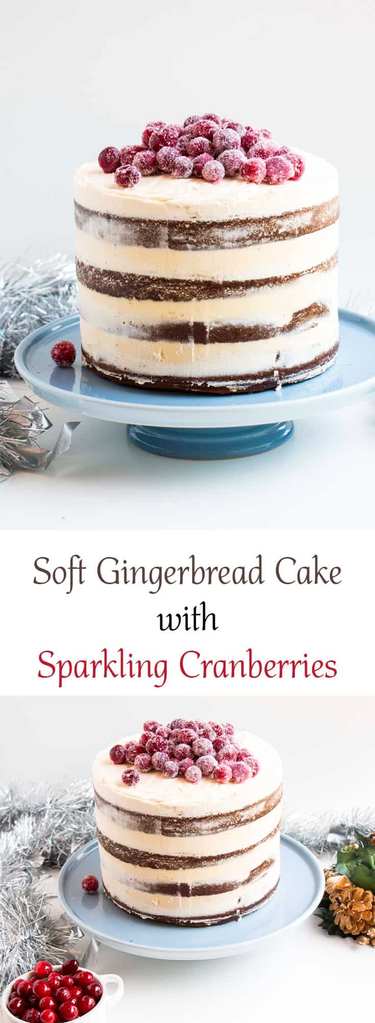 Soft Gingerbread Cake with Sparkling Cranberries with recipe title.