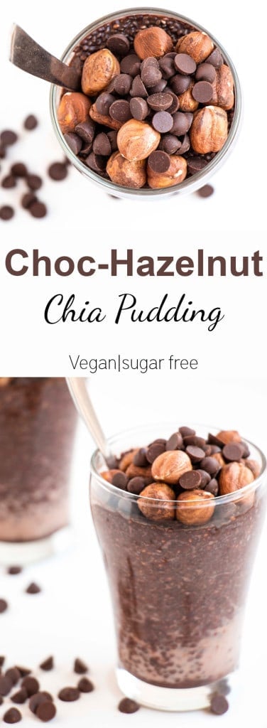 Hazelnut Chocolate Chia Protein Pudding on a white background with chocolate chips.