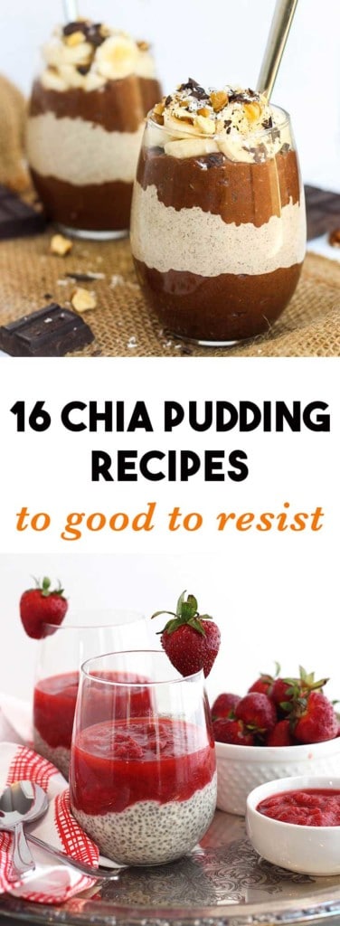 16 Chia Pudding Recipes Too Good To Resist - A list of the best chia pudding recipes out there. Delicious, healthy and so incredibly easy to make.