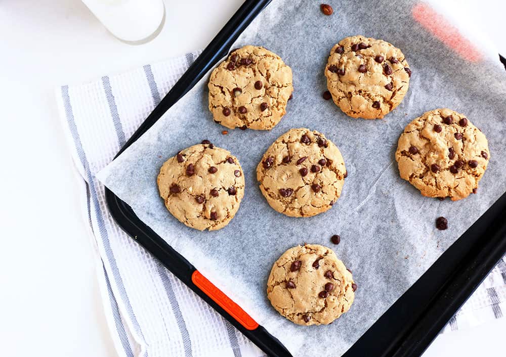 Peanut Butter & Choc Chip Oatmeal Cookies Delicious chewy cookies that are gluten free and packed with protein.