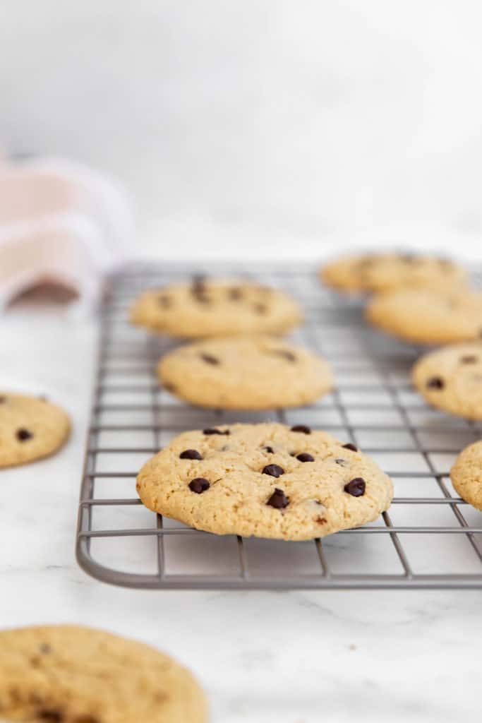 A chocolate chip cookie on a gray wire rack.