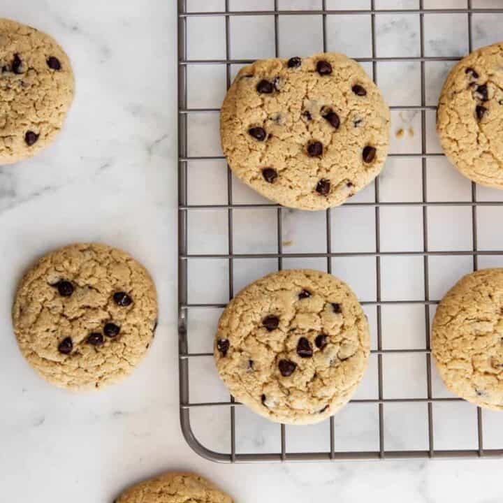 Thermomix Chocolate Chip Cookies