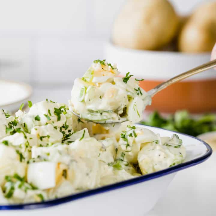 classic potato salad on spoon