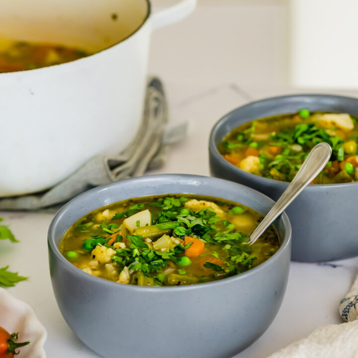 Gut-Healing Vegetable Soup