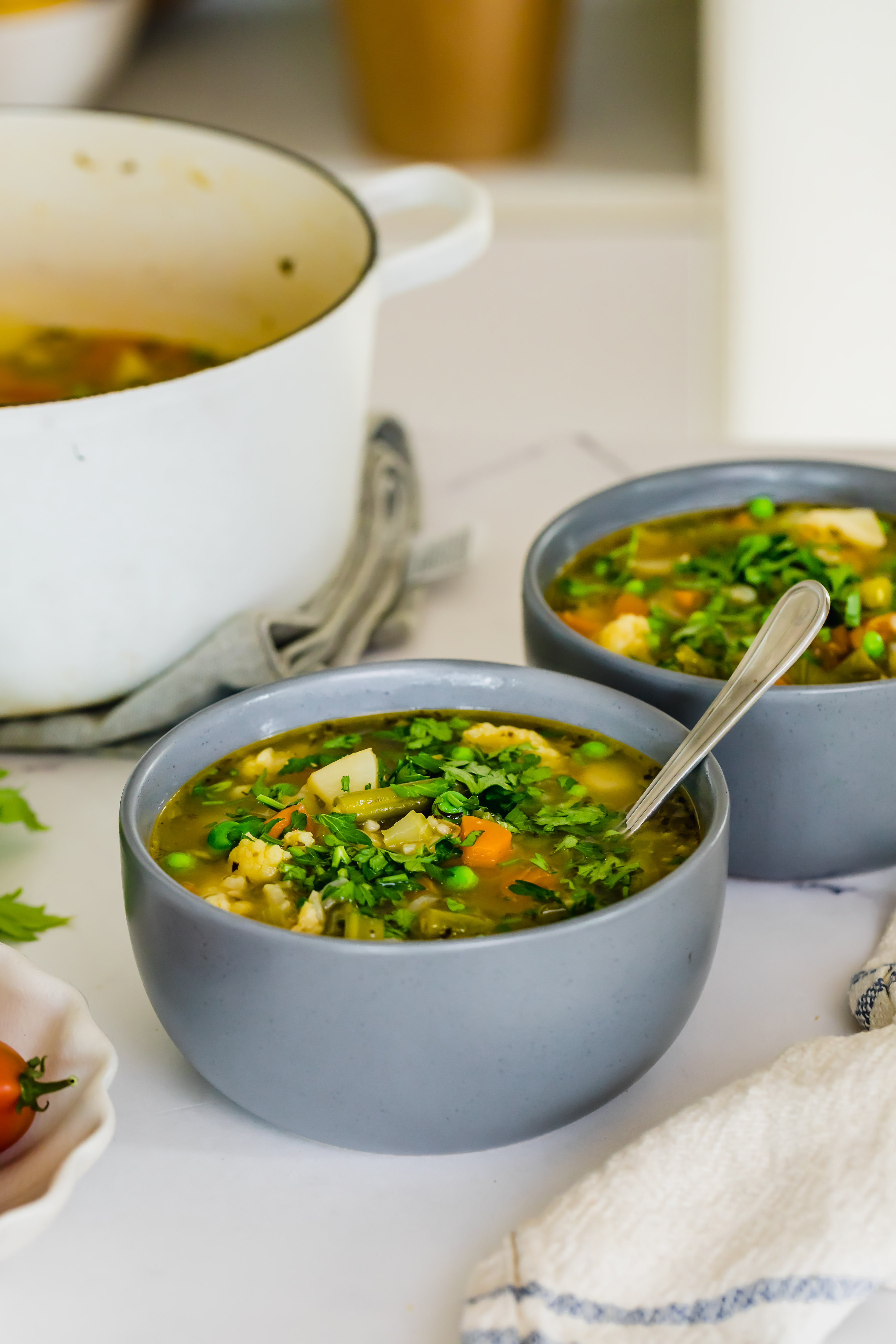 Gut-Healing Vegetable Soup