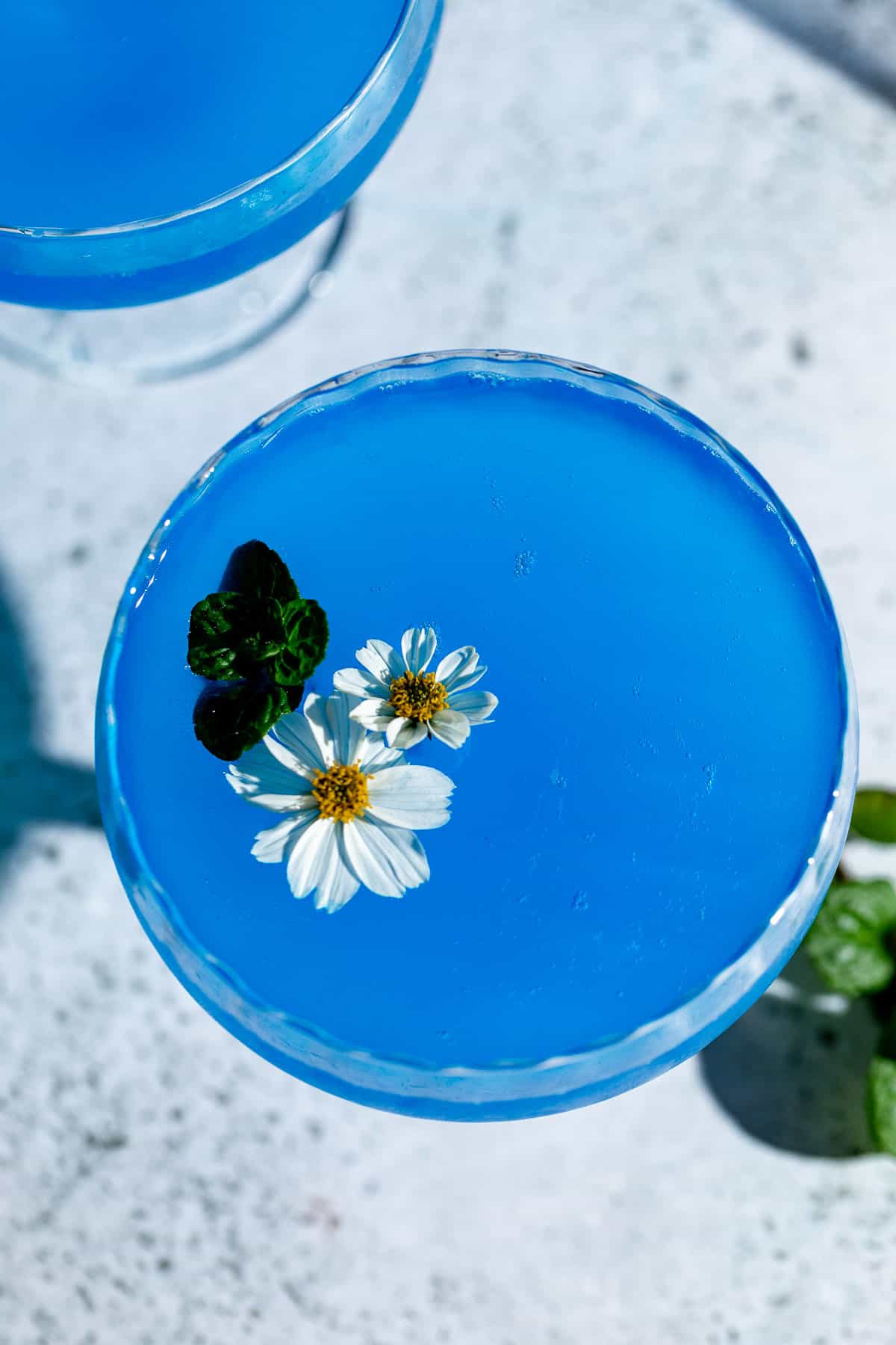 coupe glass filled with blue cocktail and topped with white flowers